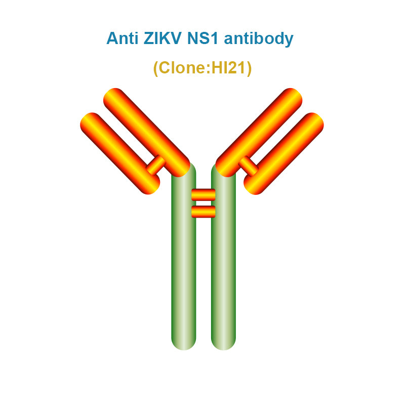 Anti ZIKV NS1 antibody, Clone HI21