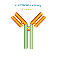 Load image into Gallery viewer, Anti ZIKV NS1 antibody, Clone HI21