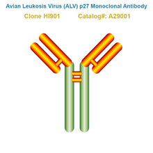 Load image into Gallery viewer, Avian Leukosis Virus (ALV) p27 Monoclonal Antibody, Clone HI901