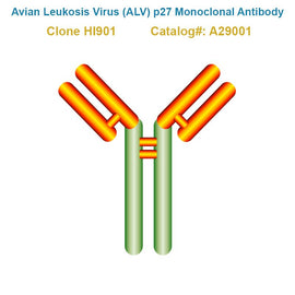 Avian Leukosis Virus (ALV) p27 Monoclonal Antibody, Clone HI901