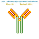Avian Leukosis Virus (ALV) p27 Monoclonal Antibody, Clone HI901