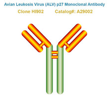 Load image into Gallery viewer, Avian Leukosis Virus (ALV) p27 Monoclonal Antibody, Clone HI902