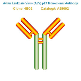 Avian Leukosis Virus (ALV) p27 Monoclonal Antibody, Clone HI902