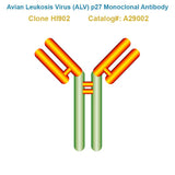 Avian Leukosis Virus (ALV) p27 Monoclonal Antibody, Clone HI902