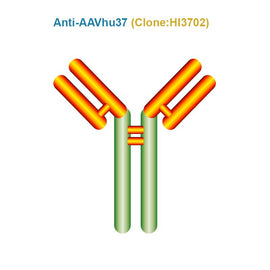 Anti AAVhu37 antibody, Clone HI3702