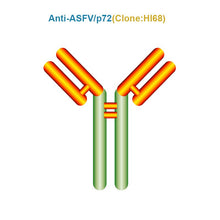 Load image into Gallery viewer, African Swine Fever Virus (ASFV) p72 Monoclonal Antibody