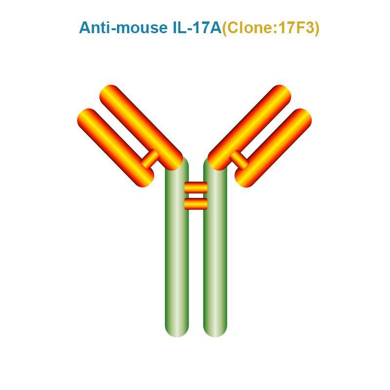 Anti-mouse IL-17A (Clone 17F3)