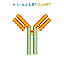 Load image into Gallery viewer, Anti-mouse IL-17A (Clone 17F3)