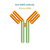 Anti AAV6 antibody, Clone HI26