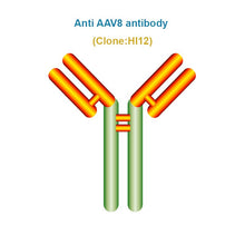 Load image into Gallery viewer, Anti AAV8 antibody, Clone HI12