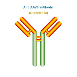 Anti AAV8 antibody, Clone HI12