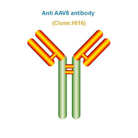 Anti AAV8 antibody, Clone HI16