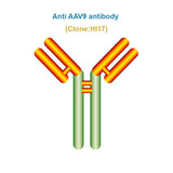 Anti AAV9 antibody, Clone HI17