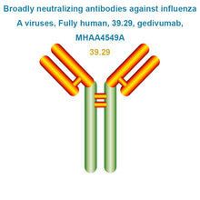Load image into Gallery viewer, Broadly neutralizing antibodies against influenza A viruses, Fully human, 39.29, gedivumab, MHAA4549A