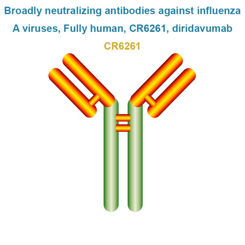 Broadly neutralizing antibodies against influenza A viruses, Fully human, CR6261, diridavumab
