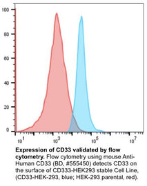 CD33 stable cell line, HEK293T