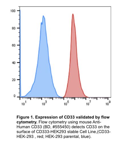 CD33 stable cell line, HEK293T, Red fluorescent protein (RFP)