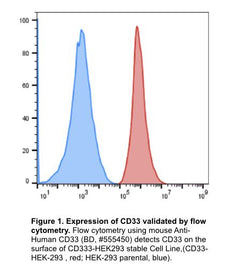 CD33 stable cell line, HEK293T, Red fluorescent protein (RFP)