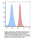 CD33 stable cell line, HEK293T, Red fluorescent protein (RFP)